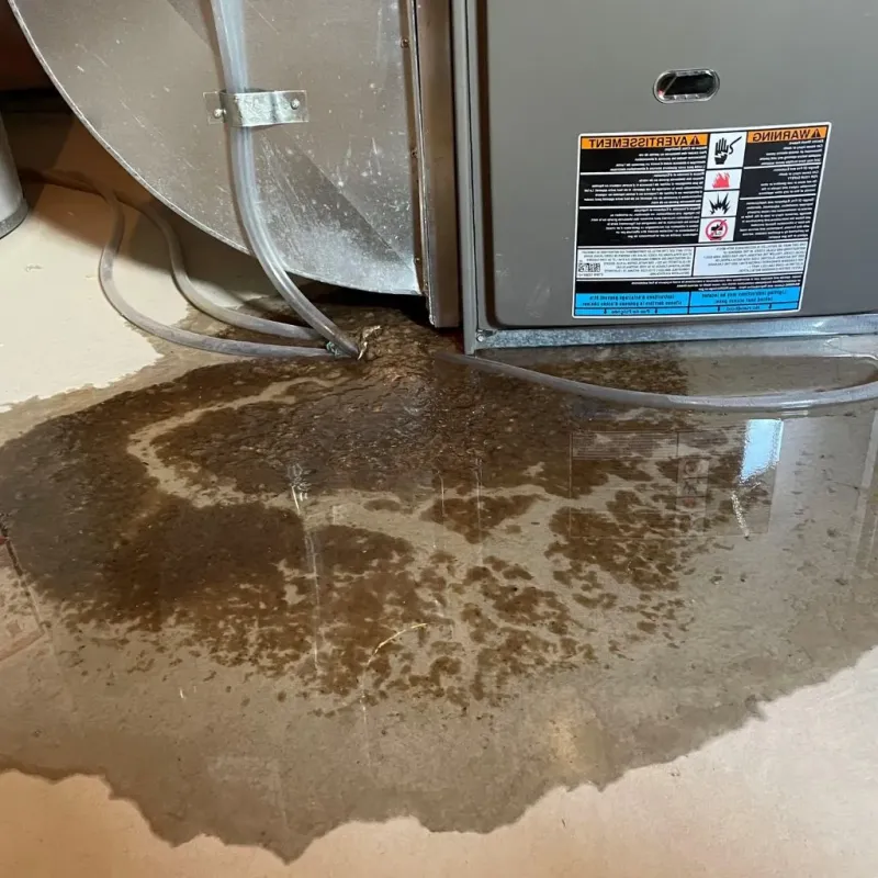 Pipe Burst and Leak Restoration in Kearny, NJ